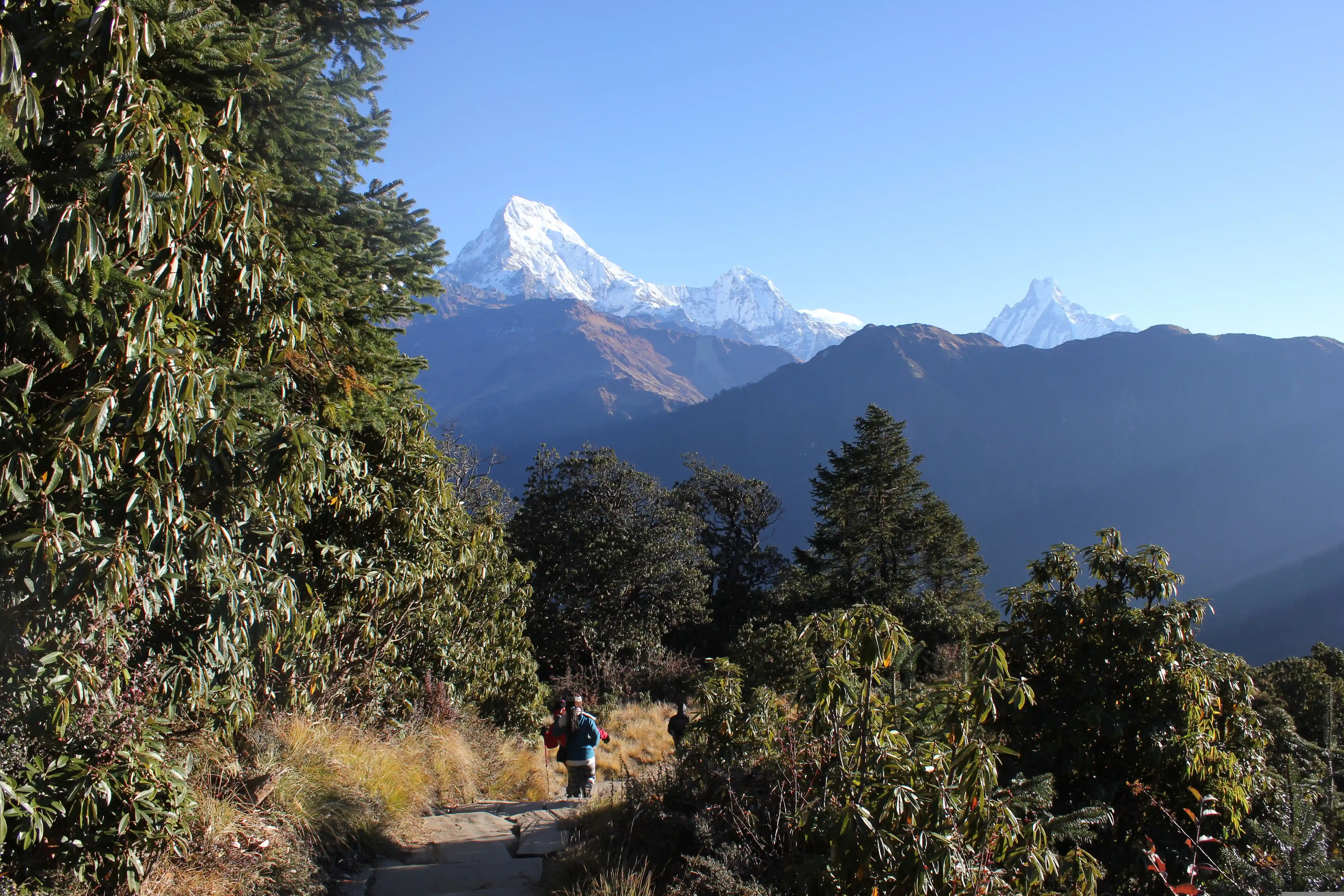 Poonhill trek with ABC helicopter landing and return